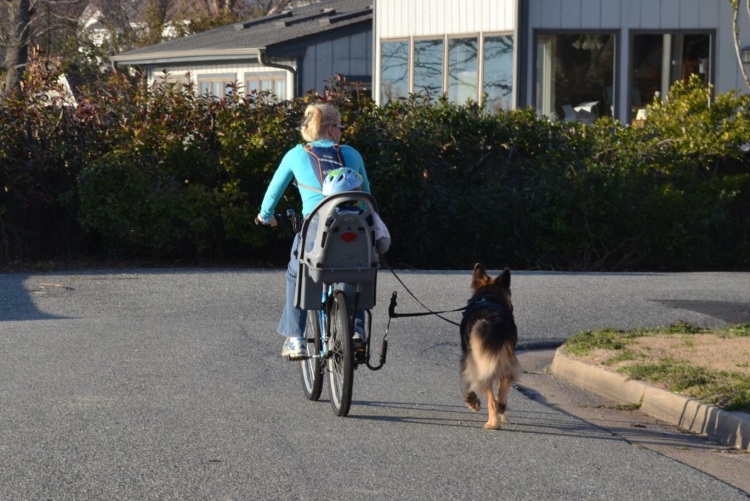 Biking with Dog
